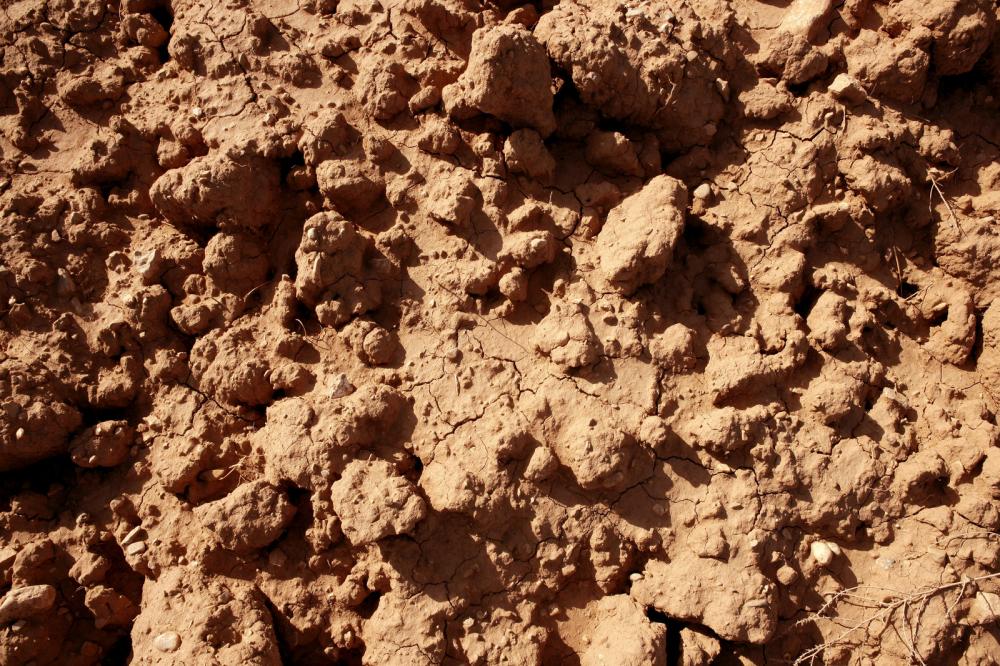 utah-clay-soil